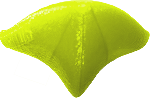 alligator handboard nedusa neon cima