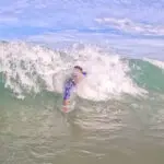 alligator handboard nemo neon (uv)