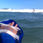 alligator handboard nemo neon (uv)