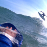 alligator handboard nemo neon (uv)