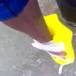 alligator handboard nemo neon (uv)