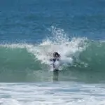 alligator handboard nemo neon (uv)