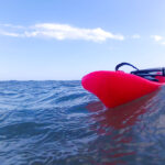 alligator handboard nemo neon (uv)