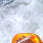 alligator handboard nemo neon (uv)