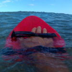 alligator handboard nemo neon (uv)