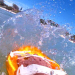 alligator handboard nemo neon (uv)