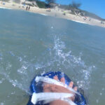 alligator handboard nemo neon (uv)