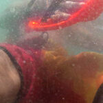 alligator handboard nemo neon (uv)