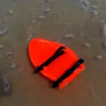 alligator handboard nemo neon (uv)