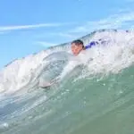 alligator handboard nemo neon (uv)