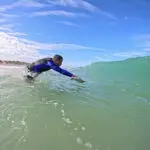 alligator handboard nemo neon (uv)