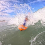 alligator handboard nemo neon (uv)