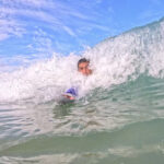 alligator handboard nemo neon (uv)