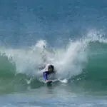 alligator handboard seahorse purple